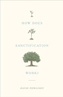 How Does Sanctification Work? (Paperback)
