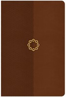 CSB Essential Teen Study Bible, Walnut Leathertouch (Imitation Leather)