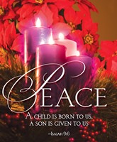 Peace Advent Candle Sunday 4 Bulletin, Large (Pkg of 50) (Loose-leaf)