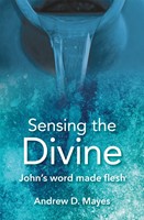 Sensing The Divine (Paperback)