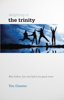 Delighting in the Trinity (Paperback)