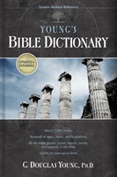 Young's Bible Dictionary (Paperback)