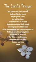 Prayer Card - The Lord's Prayer (20-pack) (Cards)