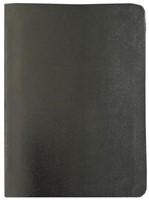 Everyday Life Amplified Bible, Black (Bonded Leather)