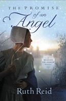 The Promise of an Angel (Paperback)
