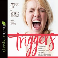 Triggers Audio Book