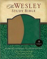 NRSV Wesley Study Bible Green Brown Faux Leather (Imitation Leather)