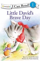 Little David'S Brave Day (Paperback)