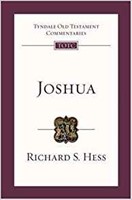 TOTC Joshua (Paperback)