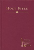 HCSB Drill Bible (Hard Cover)