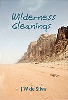 Wilderness Gleanings (Paperback)