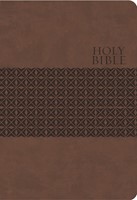 KJV Study Bible (Imitation Leather)
