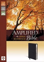 Amplified Cross-Reference Bible, Black (Imitation Leather)