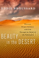 Beauty in the Desert (Paperback)