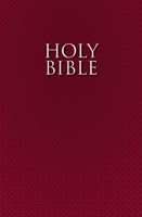 The Holy Bible For Esl Readers (Nirv) (Paperback)