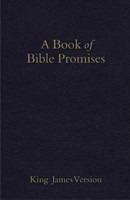 KJV Book Of Bible Promises, Midnight Blue Imitation Leather (Leather Binding)