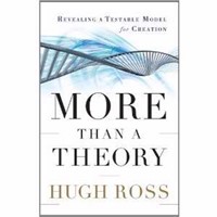 More Than A Theory (Paperback)
