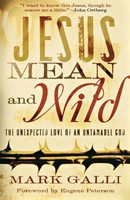 Jesus Mean And Wild (Paperback)