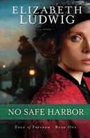 No Safe Harbor (Paperback)