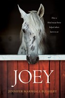 Joey (Paperback)