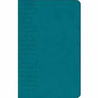 GW Pray The Scriptures Bible Teal, Lord's Prayer Design Dur (Leather Binding)
