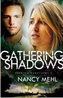 Gathering Shadows (Paperback)