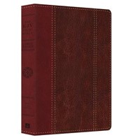 The KJV Study Bible - Large Print (Dicarta)