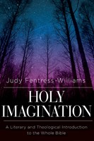 Holy Imagination (Paperback)