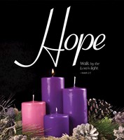 Hope Advent Candle Sunday 1 Bulletin, Large (Pkg of 50) (Bulletin)
