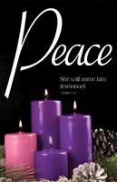 Peace Advent Candle Sunday 4 Bulletin (Pkg of 50) (Bulletin)