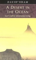Desert In The Ocean, A (Paperback)