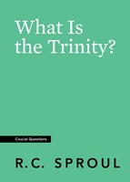 What Is the Trinity? (Paperback)