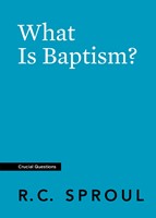 What Is Baptism? (Paperback)