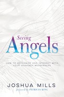 Seeing Angels (Paperback)