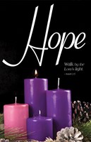 Hope Advent Candle Sunday 1 Bulletin (Pkg of 50) (Bulletin)