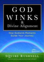Divine Alignment (Paperback)