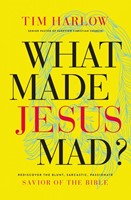 What Made Jesus Mad? (Paperback)
