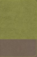 KJV Study Bible for Boys, Olive/Brown (Imitation Leather)