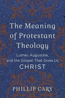 The Meaning of Protestant Theology (Paperback)