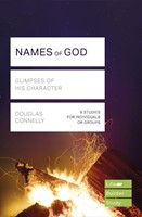 LifeBuilder: Names of God (Paperback)