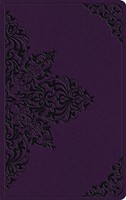 ESV Large Print Value Thinline Bible, TruTone, Lavender (Imitation Leather)