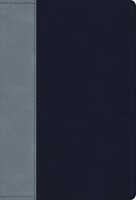 ESV Student Study Bible, Navy/Slate, Timeless Design (Imitation Leather)