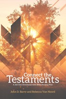 Connect the Testaments (Paperback)
