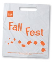 Fall Fest Bag (pack of 25) (General Merchandise)
