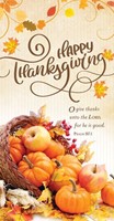 Happy Thanksgiving Offering Envelope (pack of 100) (Bulletin)