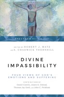 Divine Impassibility (Paperback)