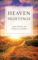 Heaven Sightings (Paperback)
