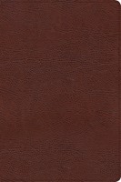 CSB Verse-by-Verse Reference Bible, Brown Bonded Leather (Imitation Leather)