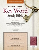 The ESV Hebrew-Greek Key Word Study Bible Burgundy