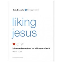 Liking Jesus (Paperback)
